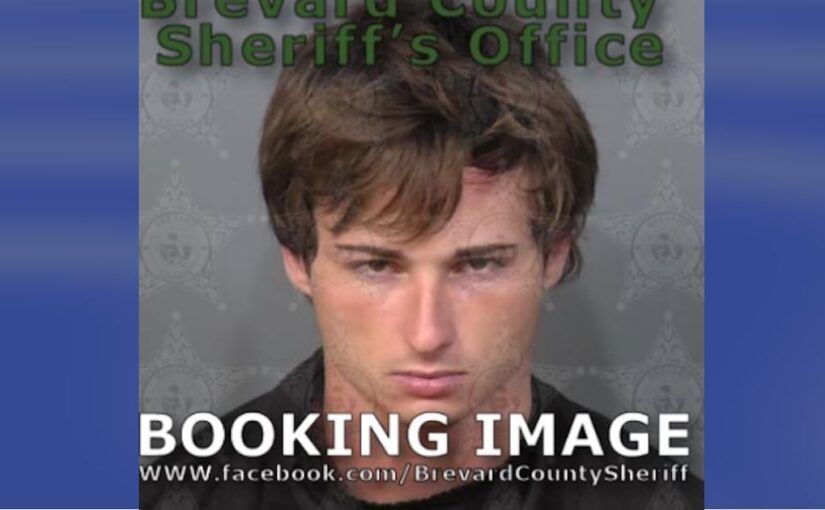 Vultures Led Cops to a Suitcase Full of Human Remains at a Place Called “The Compound”